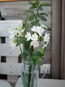 Мацеста Береговая - 49