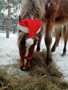 Круиз Вилладж - 70