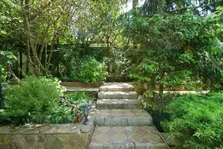 Пальмира - 17