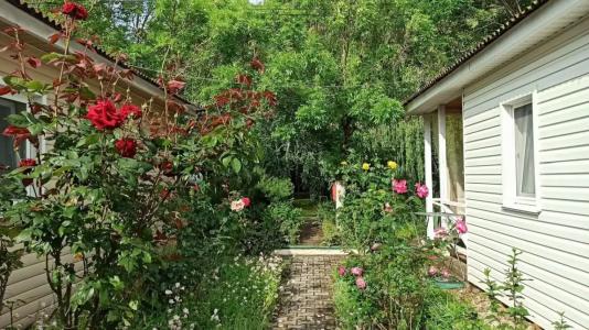 Песчаный Берег - 31