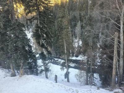 Альпенхауз - 30