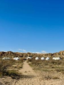 Feel Nomad Yurt Camp - 35