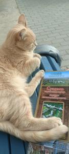 Гостевой дом Суриковых - 51