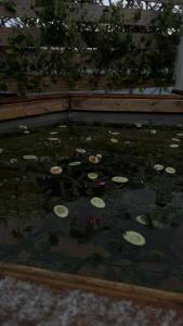 Родник - 14
