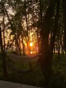 Юрта-парк на острове - 67