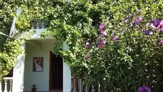 Green House - 10