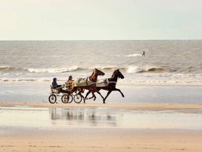 Novotel Deauville Plage - 9