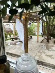 Васильевка - 83