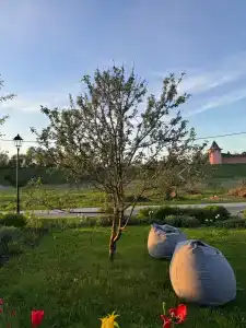 Гостевой дом Суриковых - 46