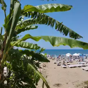Armas Bella Sun - 68