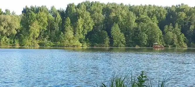 Молоково - 3