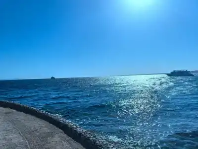 Bel Air Azur Resort (Adults Only) - 91