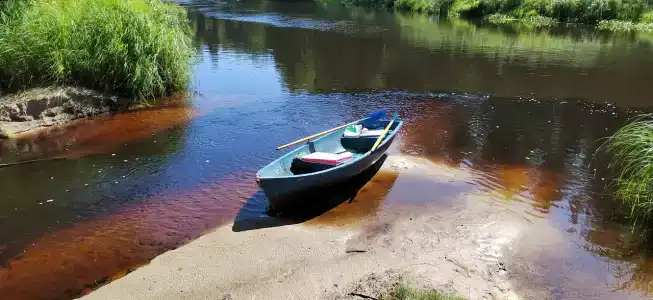 Тайга - 10