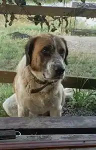 Широкая балка - 35