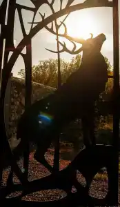 Королевская охота - 35