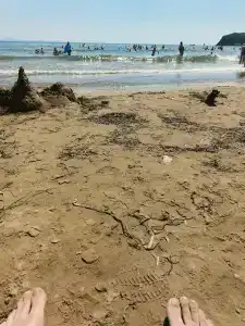 Звезда моря - 88