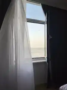 Афалина - 100