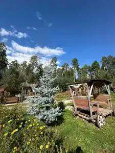 Боярская усадьба - 40