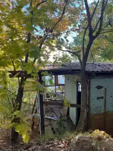 Зорька - 2
