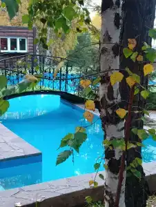 Магия леса - 28