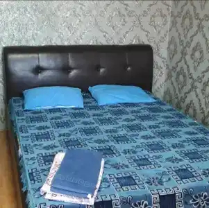 Метелица - 10