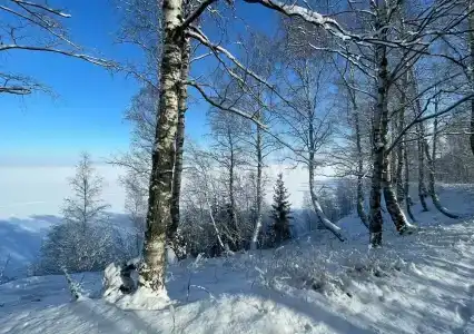 Диоген - 4
