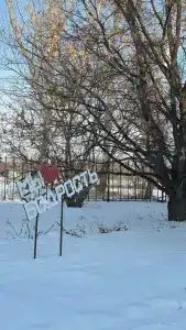 Бодрость - 45