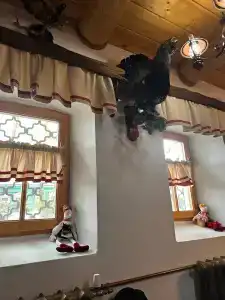 Николаевский Посад - 31