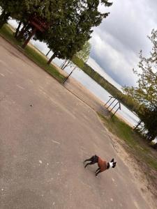 Спальный корпус Коверши - 49