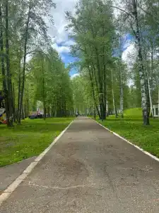 Березка - 41