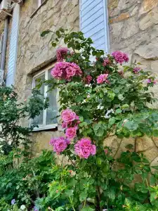 Сашенька - 42