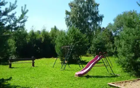 Кедр - 14