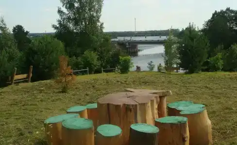 Кедр - 17