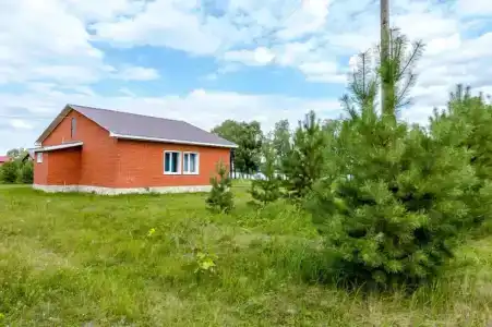 Зеркальный Карп - 19