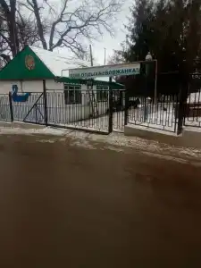 Волжанка - 2