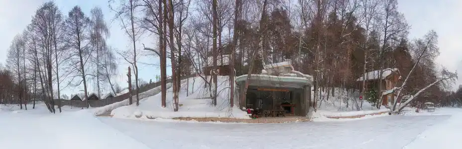 Пихта - 14