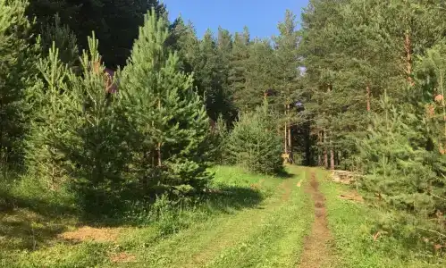 Зеленый Мыс - 13