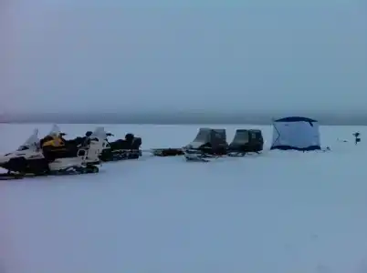 Куя - 31