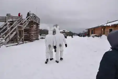 Маркомусы - 51