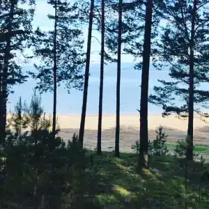 Место под солнцем - 38