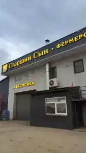 Старший сын - 43