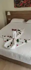 Dream Family Club - All Inclusive - 19