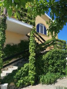 Welcome Голубой Залив - 14