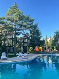 Морской Конёк - 29