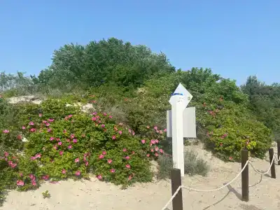 Балтийские Холмы - 5