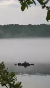 Коттеджи в Плотично - 24