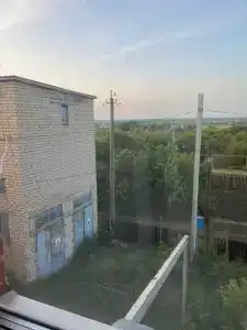 Fox - 12