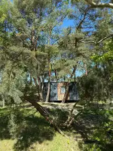 Балтийские Холмы - 70