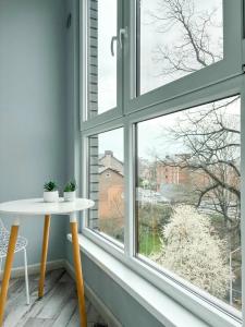 Смарт-студия Зелёная с балконом - 30