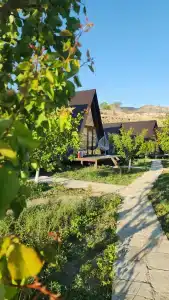 Золотая пирамида - 9